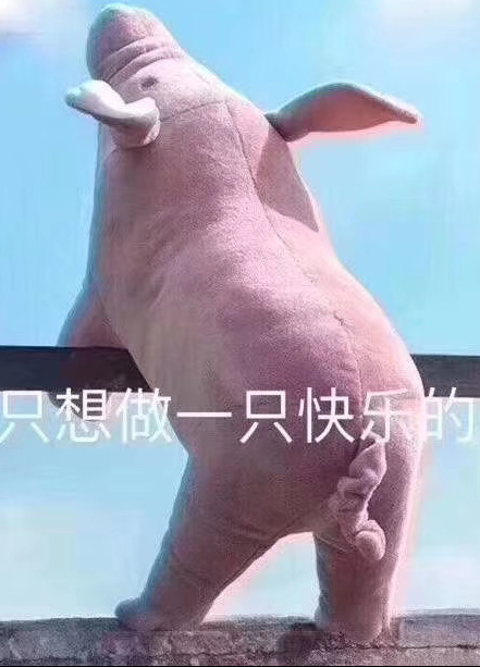 儿童模特-