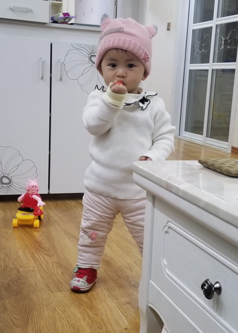模特-