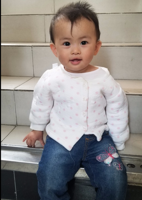 模特-