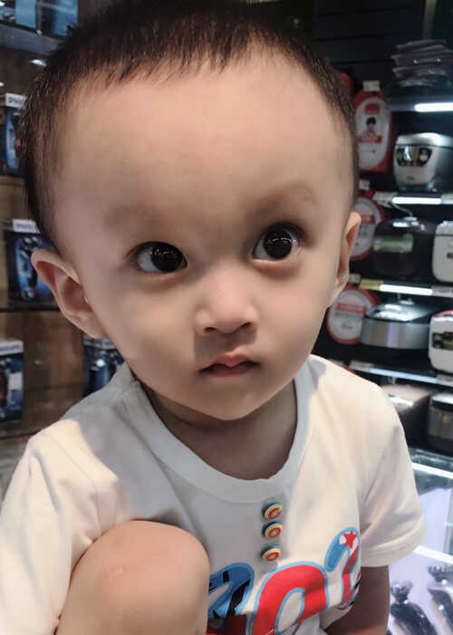 模特-