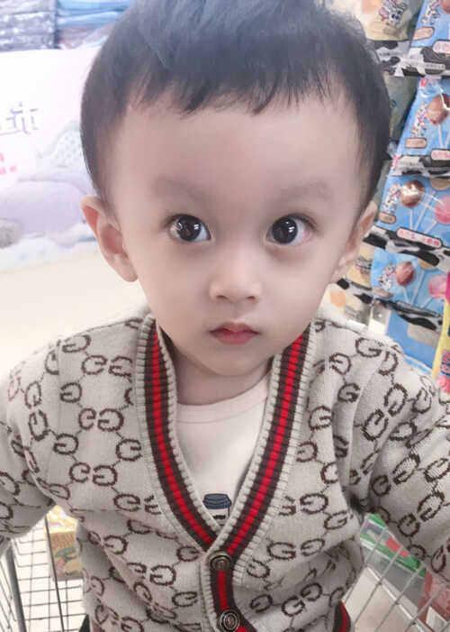 模特-