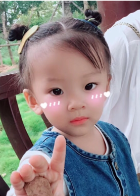 模特-