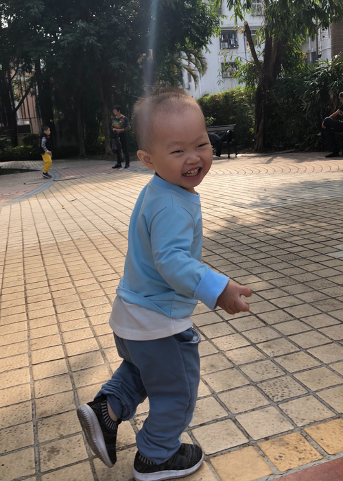 模特-