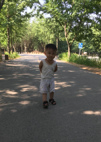 模特-