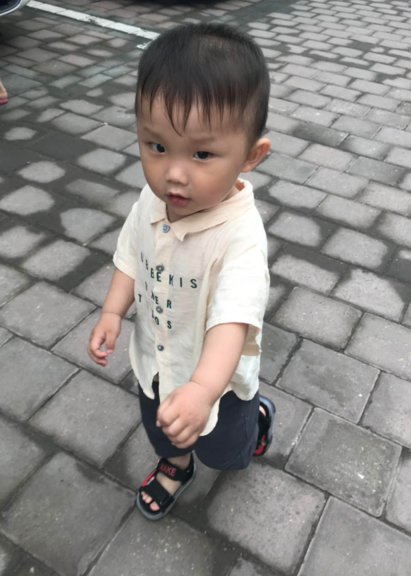 模特-
