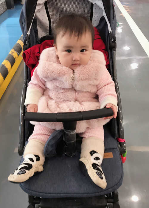 模特-