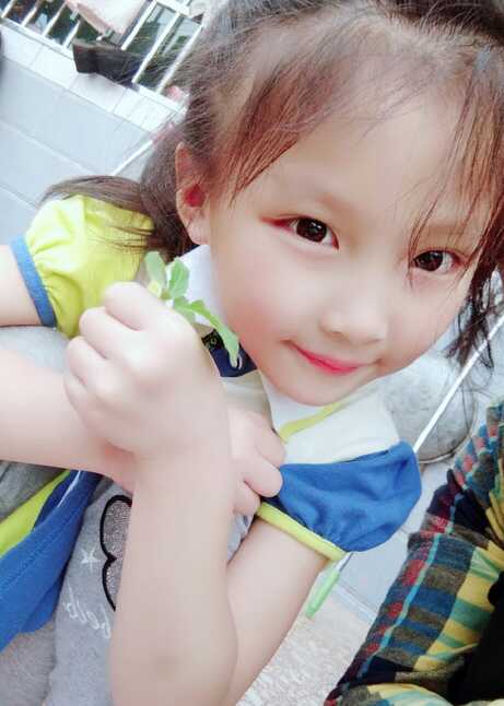 模特-