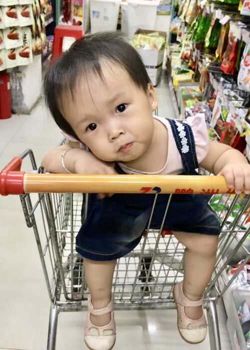 模特-