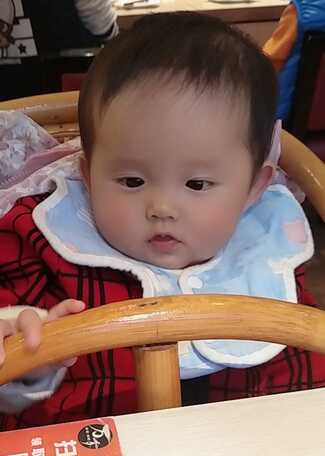模特-
