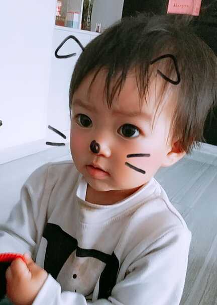 模特-