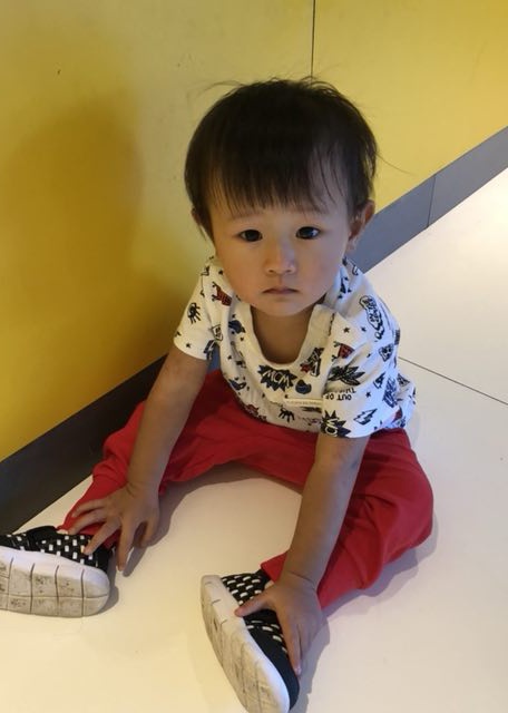 模特-