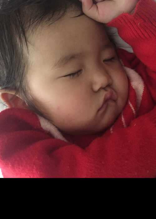 模特-