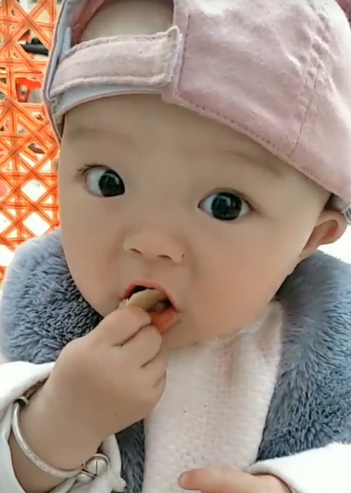 模特-