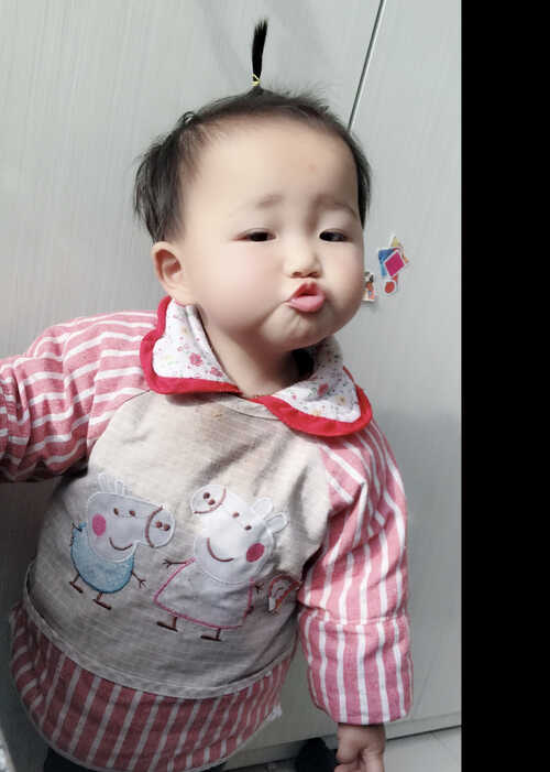 模特-