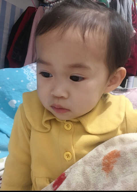 模特-