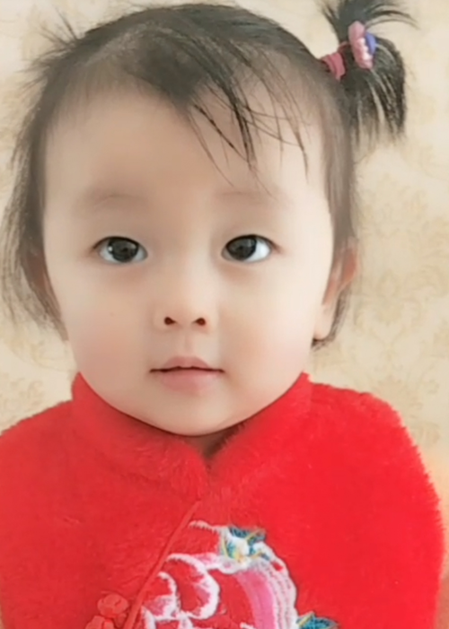 模特-