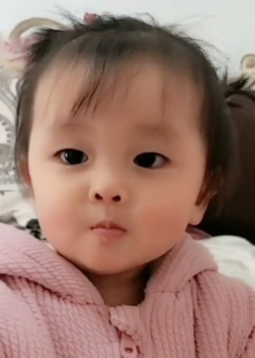 模特-