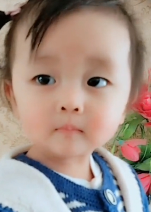 模特-