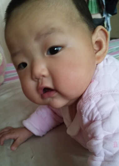 模特-