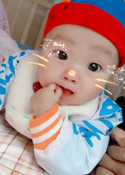 模特-
