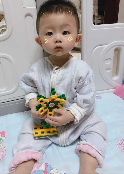 模特-