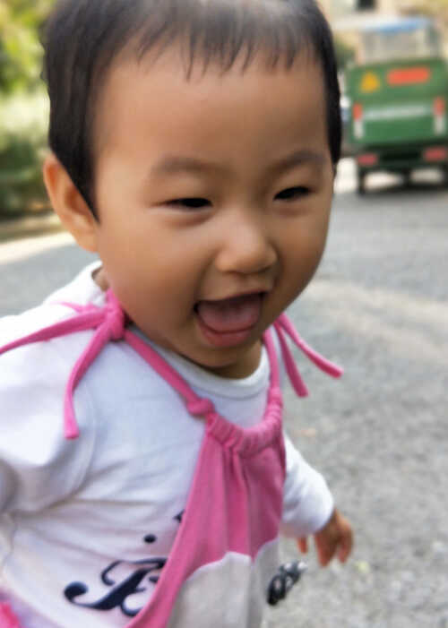 模特-
