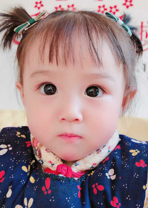 模特-