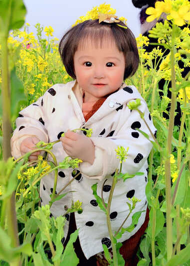 模特-
