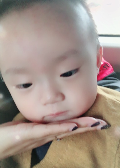 模特-