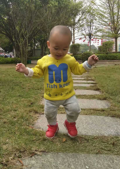 模特-