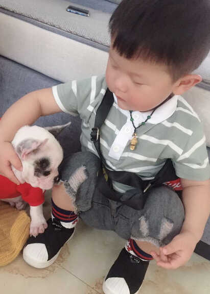 模特-