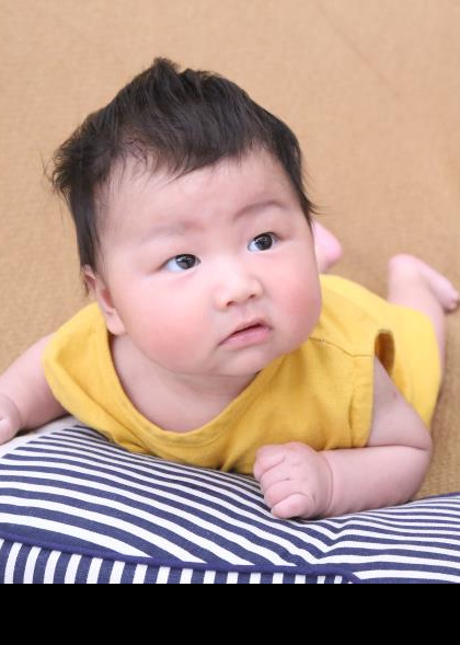 模特-