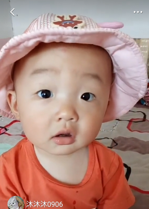 模特-