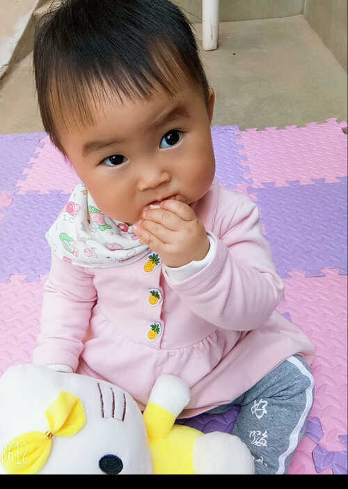 模特-