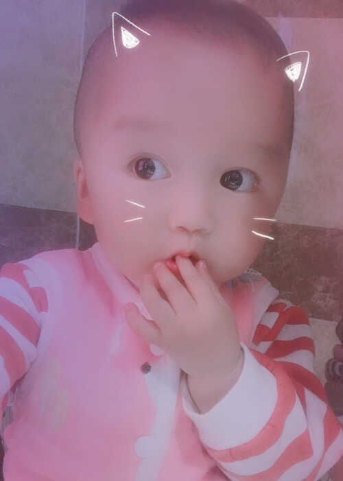 模特-