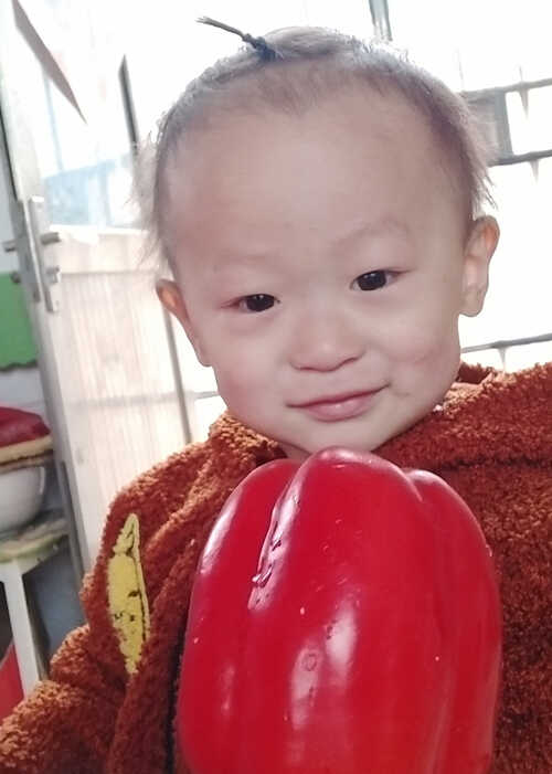 模特-