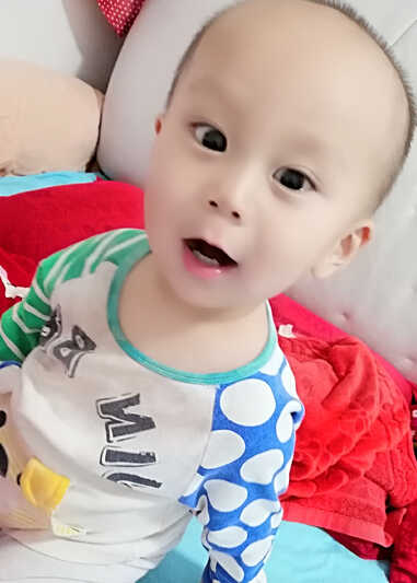 模特-
