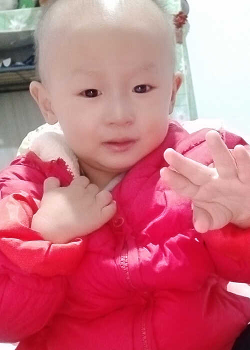 模特-