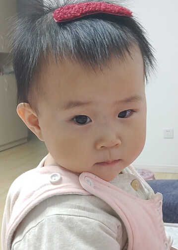 模特-