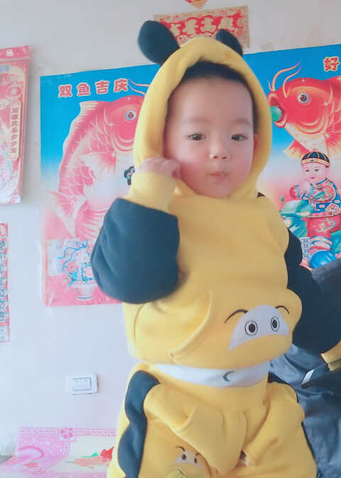 模特-