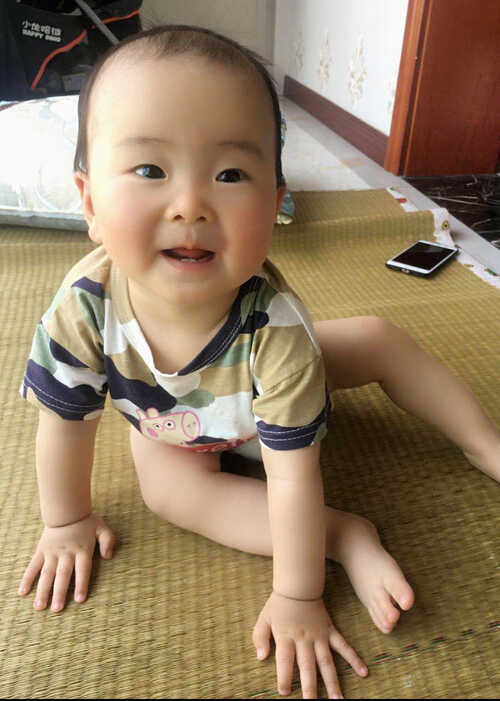 模特-