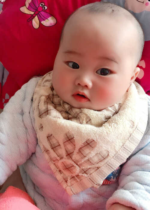 模特-
