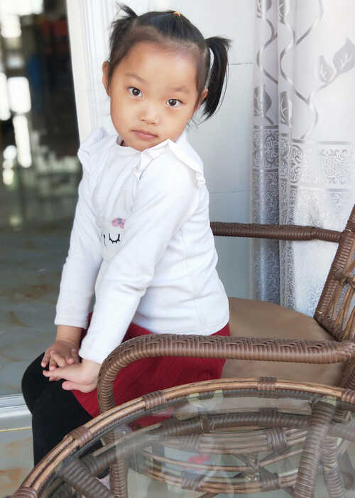 模特-