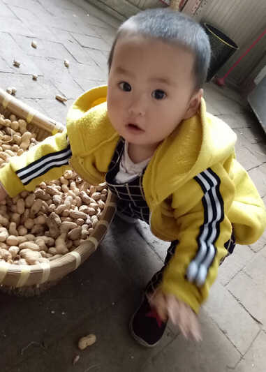 模特-