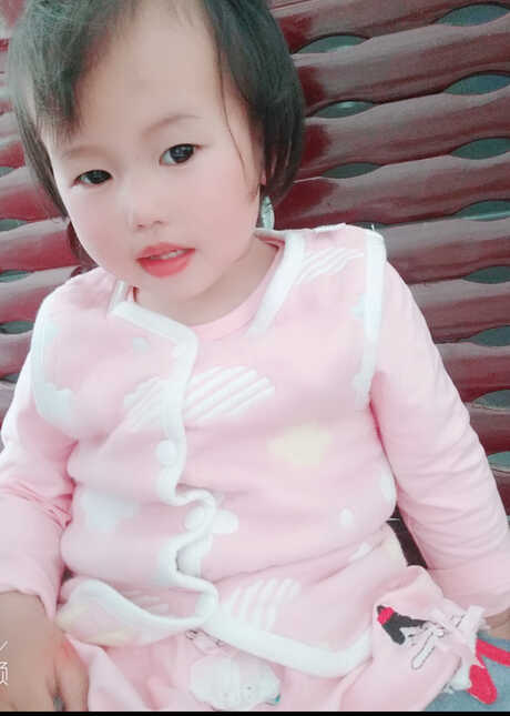模特-