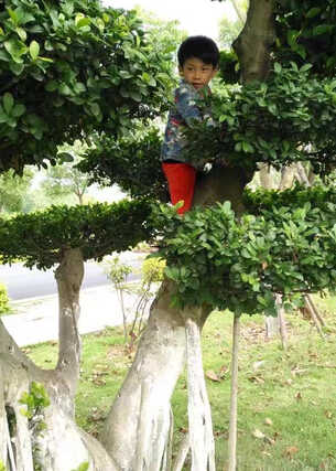 模特-