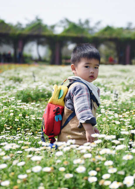 模特-