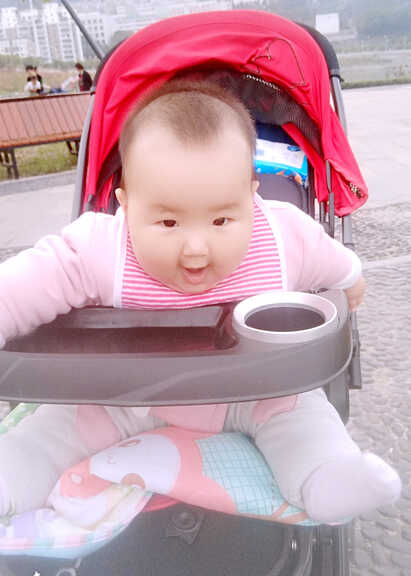 模特-