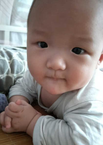 模特-