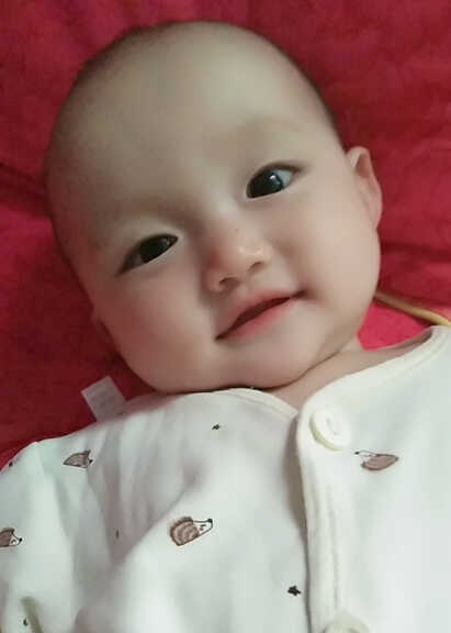模特-